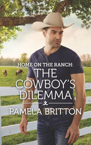 Book cover of Home on the Ranch: The Cowboy's Dilemma