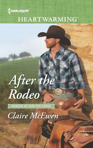 Cover of the book After the Rodeo by Amy J. Fetzer, Shirley Rogers