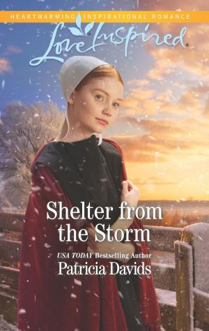 Cover of the book Shelter from the Storm by Penny Jordan