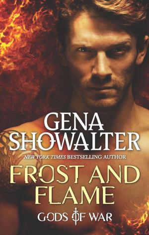 Cover of the book Frost and Flame by Meryl Sawyer