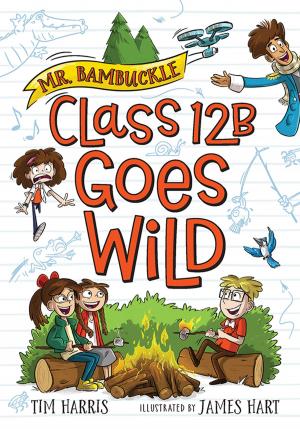Book cover of Mr. Bambuckle: Class 12B Goes Wild