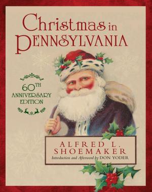 Cover of the book Christmas in Pennsylvania by Dario Castagno, Robert Rodi