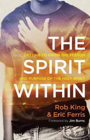 Cover of the book The Spirit Within by D. A. Carson