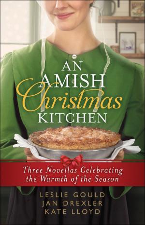 Cover of the book An Amish Christmas Kitchen by Kim Fredrickson