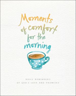 Book cover of Moments of Comfort for the Morning