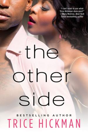 Cover of the book The Other Side by Liz Ireland
