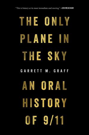 Book cover of The Only Plane in the Sky