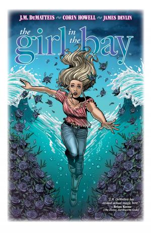 Cover of the book The Girl in the Bay by Tsukasa Fushimi