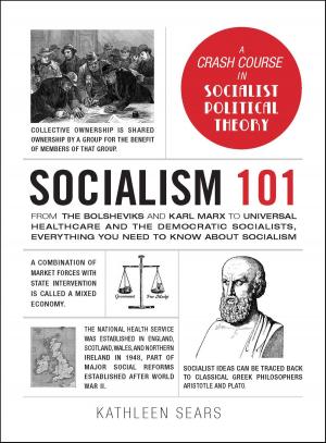 Cover of the book Socialism 101 by Yvonne Jeffery