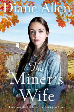 Cover of the book The Miner's Wife by Stephen Inwood