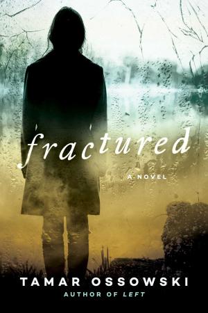 Cover of the book Fractured by Douglas MacKinnon