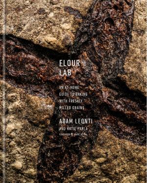 Cover of the book Flour Lab by Danielle Chang