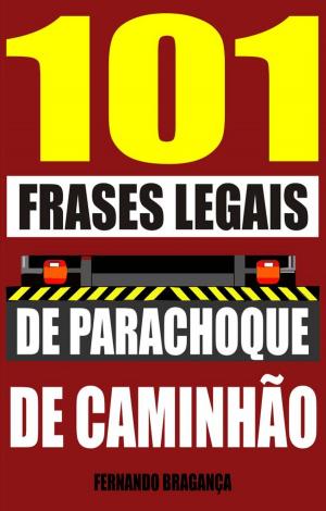 Cover of the book 101 Frases legais de parachoque de caminhã by Erich Origen, Gan Golan