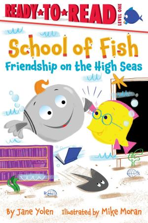 Cover of the book Friendship on the High Seas by Sheila Sweeny Higginson