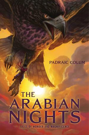 Cover of the book The Arabian Nights by Megan Atwood