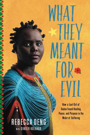 Cover of the book What They Meant for Evil by Alisa Kaplan