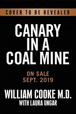 Cover of the book Canary in the Coal Mine by Bonnie St. John