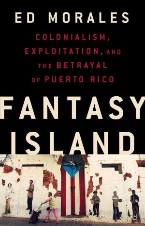 Book cover of Fantasy Island