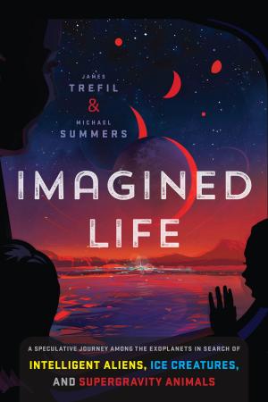 Cover of the book Imagined Life by Emily E. Auger