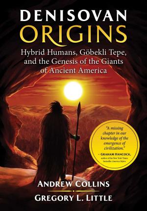 Cover of the book Denisovan Origins by Karen Christino
