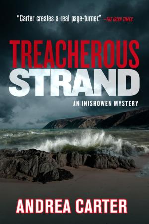 Cover of the book Treacherous Strand by Matt Coyle