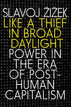 Cover of the book Like a Thief in Broad Daylight by Brita Belli