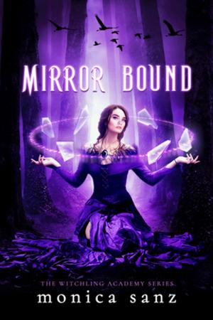 Cover of the book Mirror Bound by Priya Vasudevan