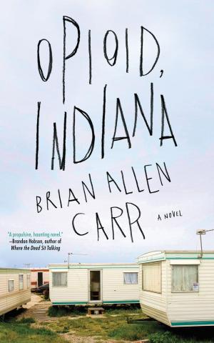 Cover of the book Opioid, Indiana by Stan Jones, Patricia Watts