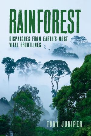 bigCover of the book Rainforest by 