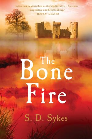 bigCover of the book The Bone Fire: A Somershill Manor Mystery (The Somershill Manor Mysteries) by 