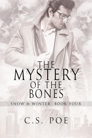 Cover of the book The Mystery of the Bones by Mary Calmes