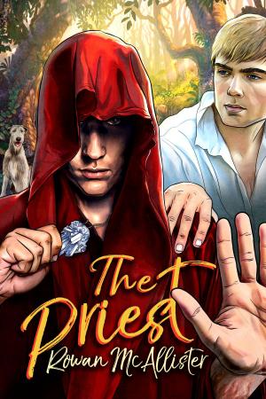Cover of the book The Priest by Erik Orrantia