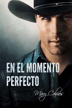 Cover of the book En el momento perfecto by Alana Ankh