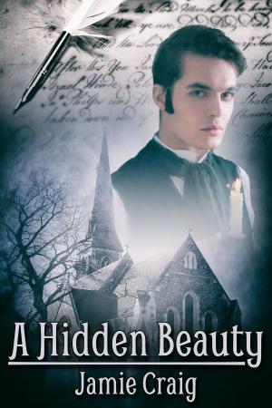 Cover of the book A Hidden Beauty by Deirdre O’Dare