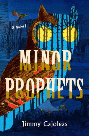 bigCover of the book Minor Prophets by 