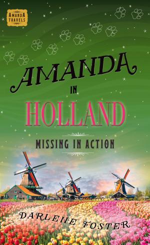 Cover of the book Amanda in Holland by LM DeWalt