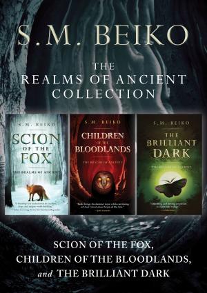 Cover of the book The Realms of Ancient Collection by Dr. Neil MacKinnon and Dr. Rhonda Church