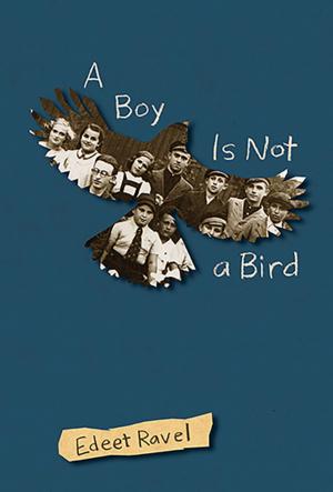 Cover of the book A Boy Is Not a Bird by Kevin Sylvester