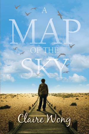 Cover of the book A Map of the Sky by Penny Rich