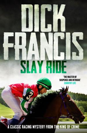 Book cover of Slay Ride