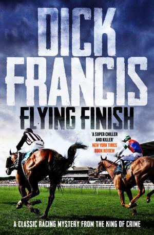 Cover of the book Flying Finish by Elizabeth Murphy