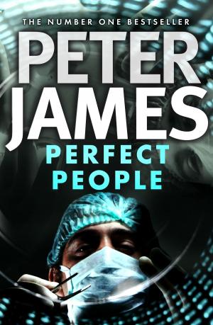 Cover of Perfect People