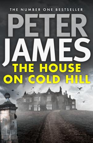 Book cover of The House on Cold Hill