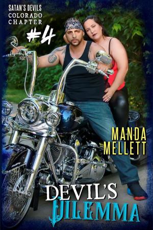 Cover of the book Devil's Dilemma by Miranda Shanklin