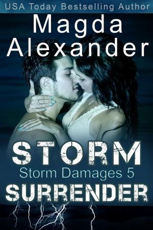 Cover of the book Storm Surrender by L. E. Barrett
