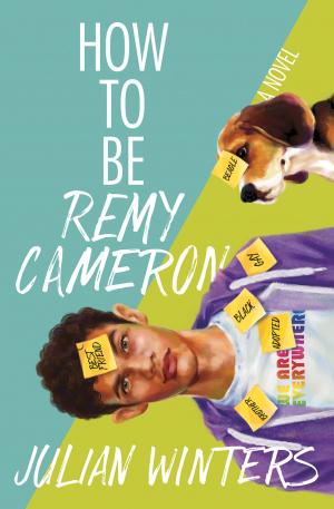 Cover of the book How to Be Remy Cameron by Suzey ingold