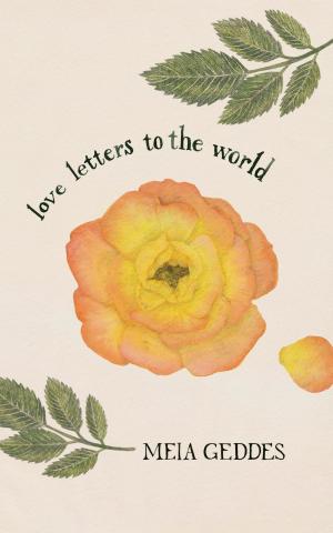 Cover of the book Love Letters to the World by Bryan Collins
