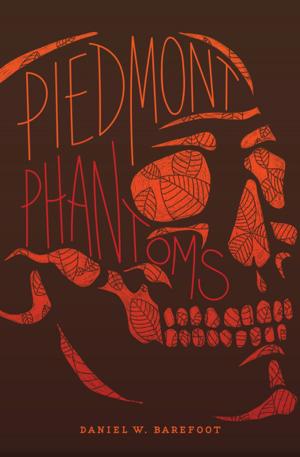 Cover of the book Piedmont Phantoms by Daniel W. Barefoot