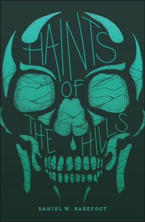 Book cover of Haints of the Hills