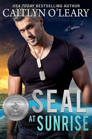 Cover of the book SEAL at Sunrise by Sharon Hamilton